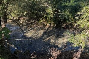 Olevano monitoraggio acque