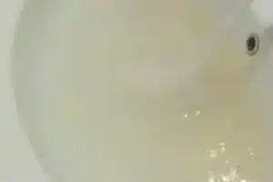 acqua torbida monte san giacomo avviso cittadinanza