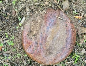 ispani oggetto sospetto terreno artificieri scoprono bacinella