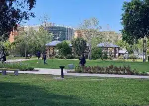 parco mercatello senza gestione fly group dialogo fallito