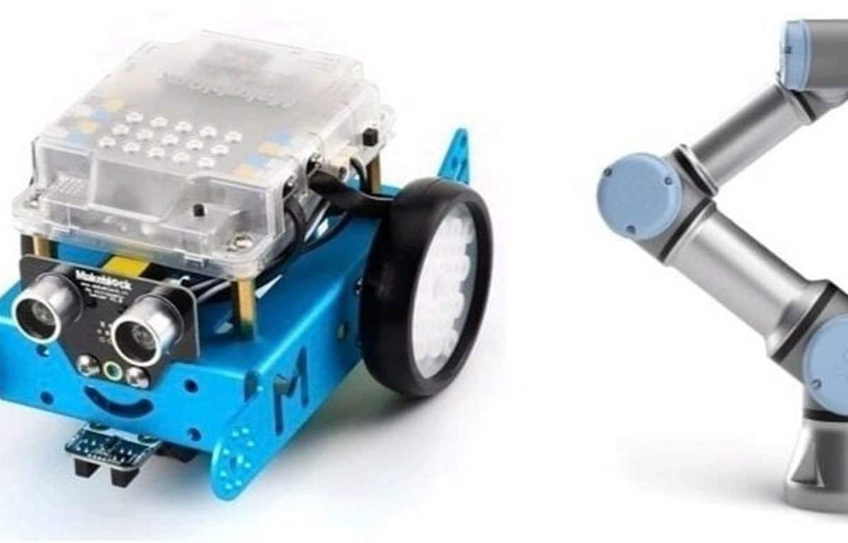 sala consilina cicerone robot day