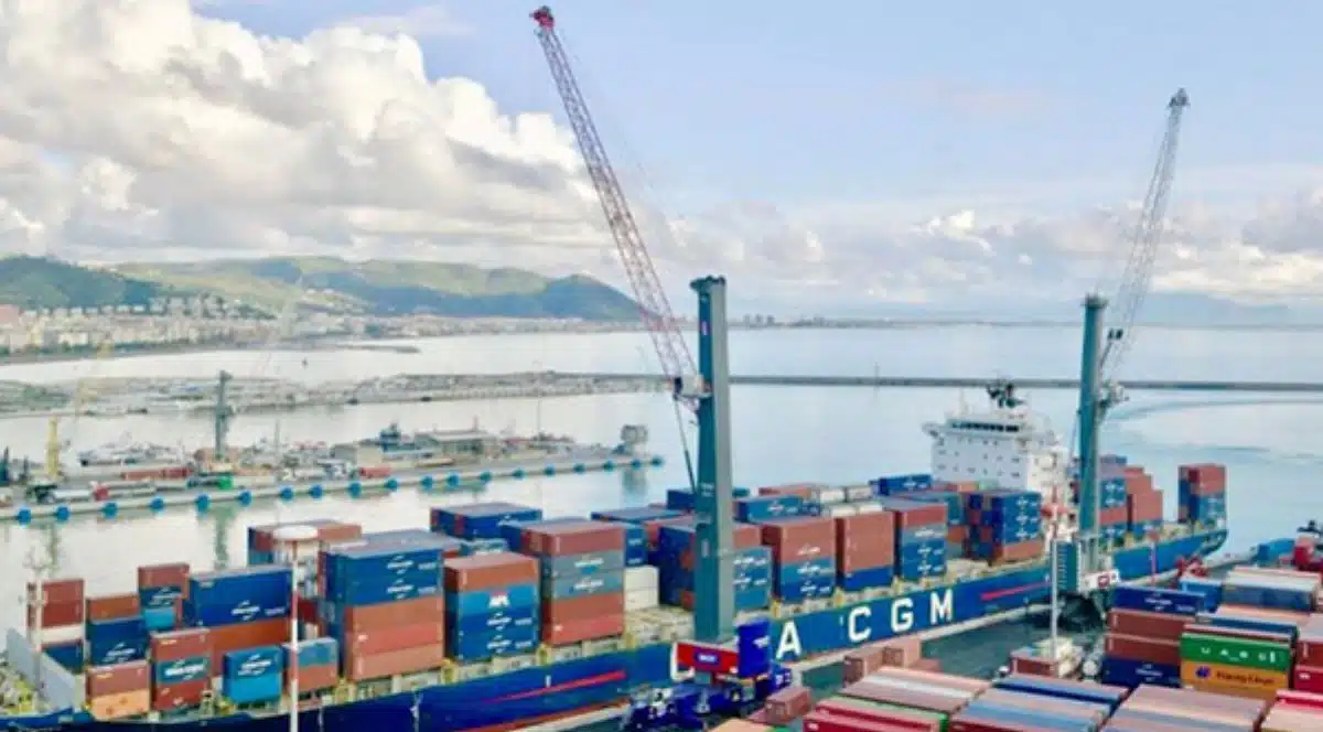 salerno container terminal maxi gru