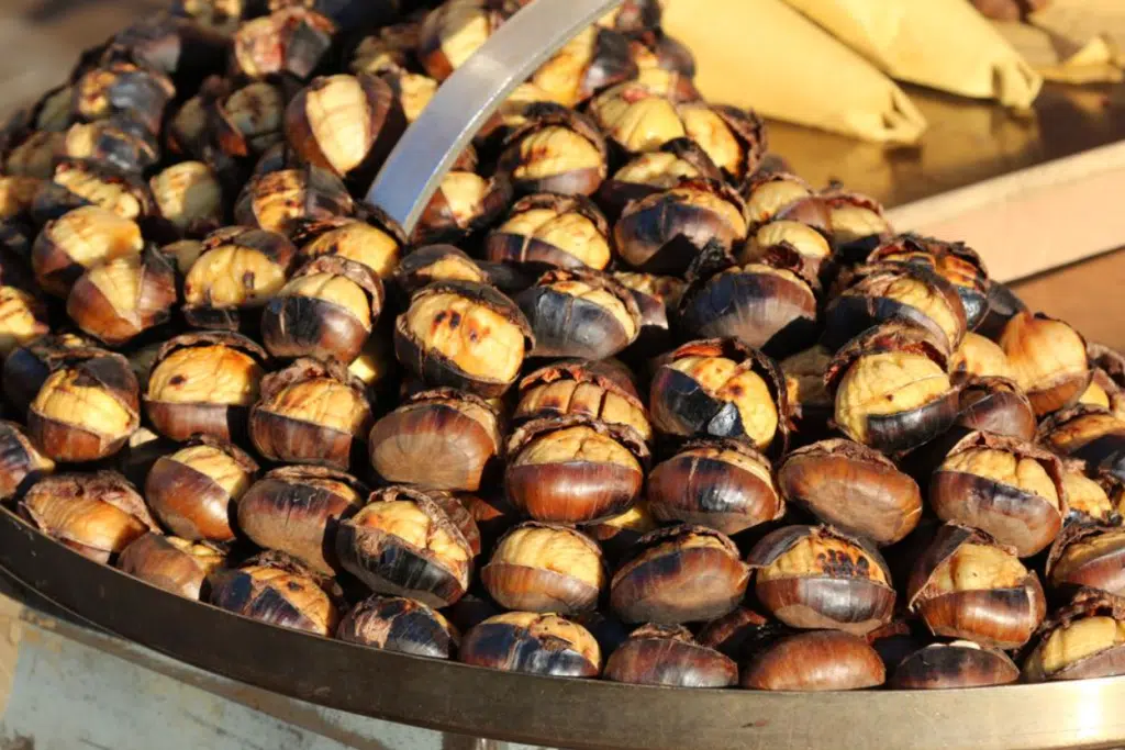 Festa Castagna Roccadaspide Stio Sicignano