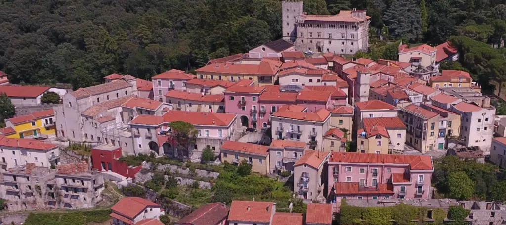 valva truffa appalti pubblici