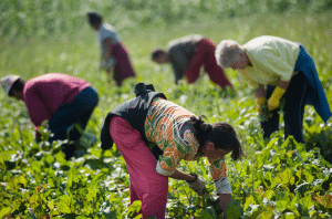 Capaccio Paestum incontro Donne Agricoltura
