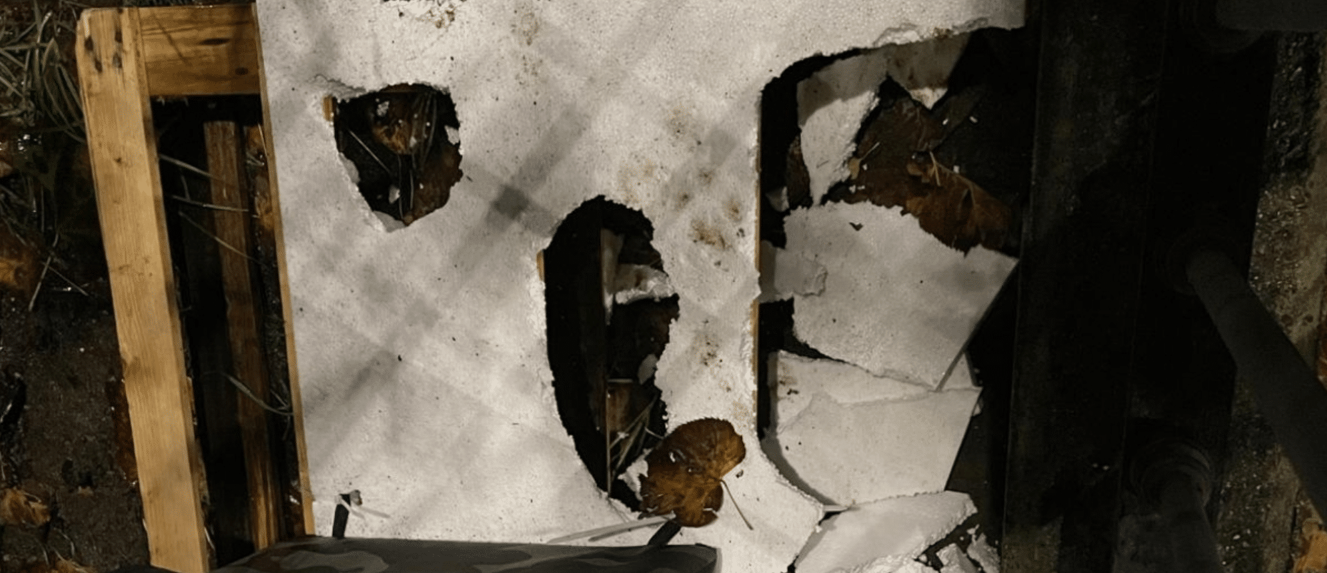 Salerno vandalizzata cuccia gatto