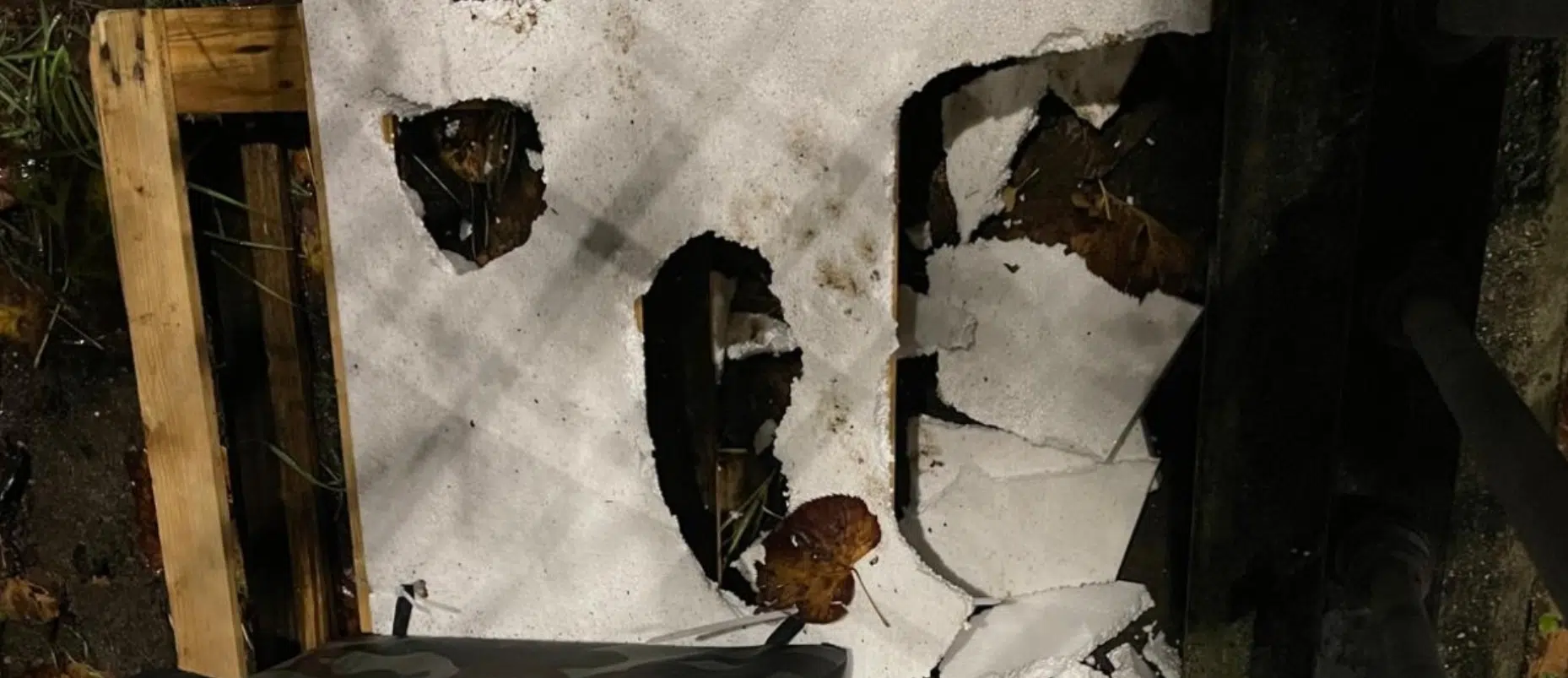 Salerno vandalizzata cuccia gatto