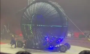 napoli circo morto stuntman 