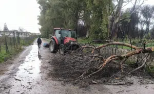maltempo Capaccio Paestum