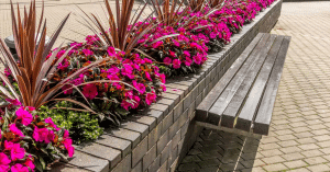 adotta aiuola Sala Consilina