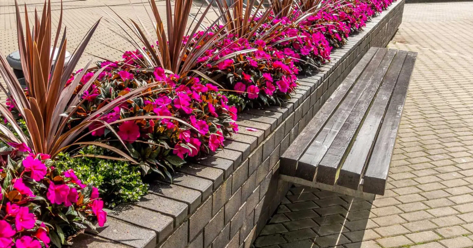 adotta aiuola Sala Consilina