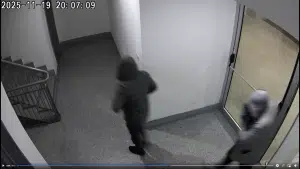 Salerno, ladri in azione tra via Russo e via Pepe: residenti in allarme dopo un tentato furto in pieno pomeriggio