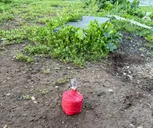 salerno petardo inesploso 30 novembre