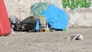 senzatetto Mercatello Balnea Aps segnalazione