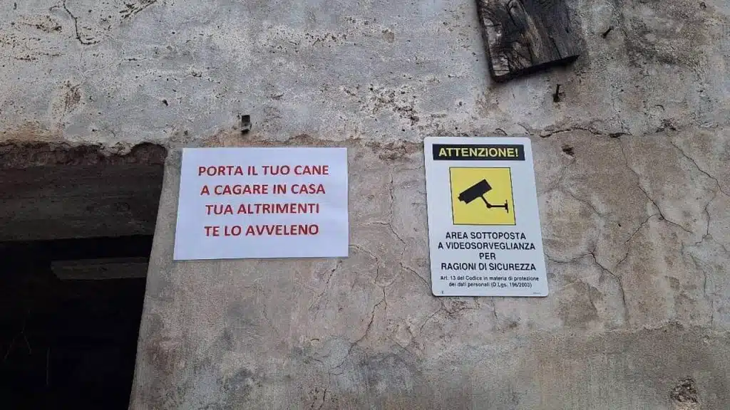 minacce cani Baronissi