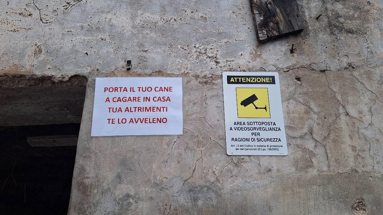 minacce cani Baronissi