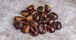 raccolta castagne campania calo 2024