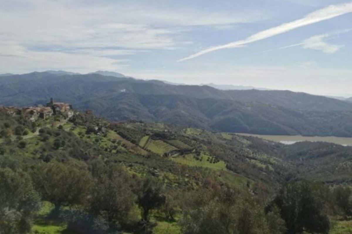 cicerale poesia sotto vischio 2025