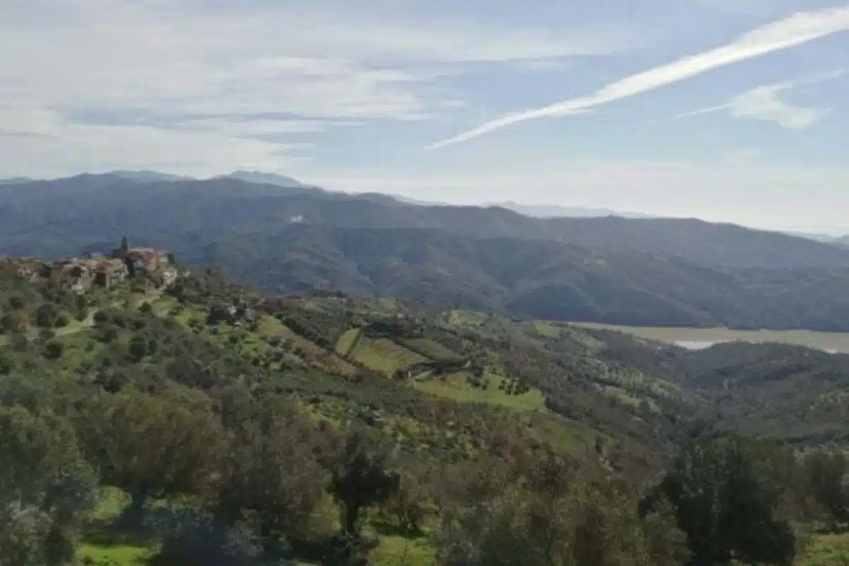 cicerale poesia sotto vischio 2025