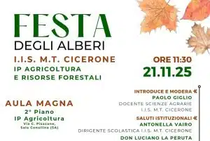 cicerone sala consilina festa alberi 21 novembre