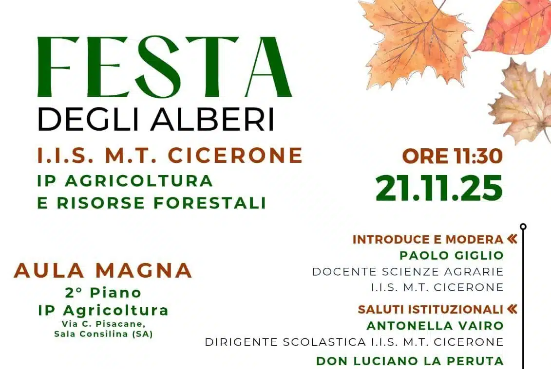 cicerone sala consilina festa alberi 21 novembre