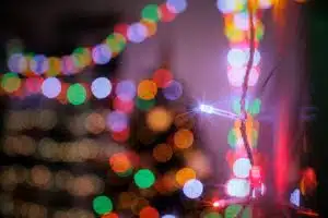 pisciotta immacolata 2025