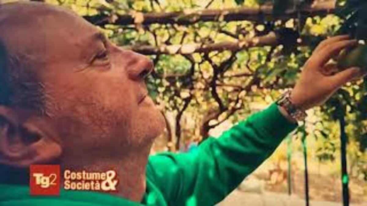 terrazzamenti Amalfi TG2