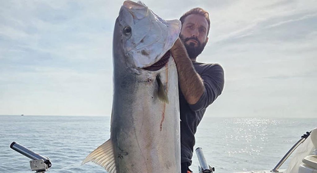 cetara ricciola 45 chili