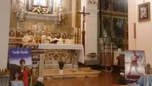 reliquie carlo acutis frassati vallo lucania