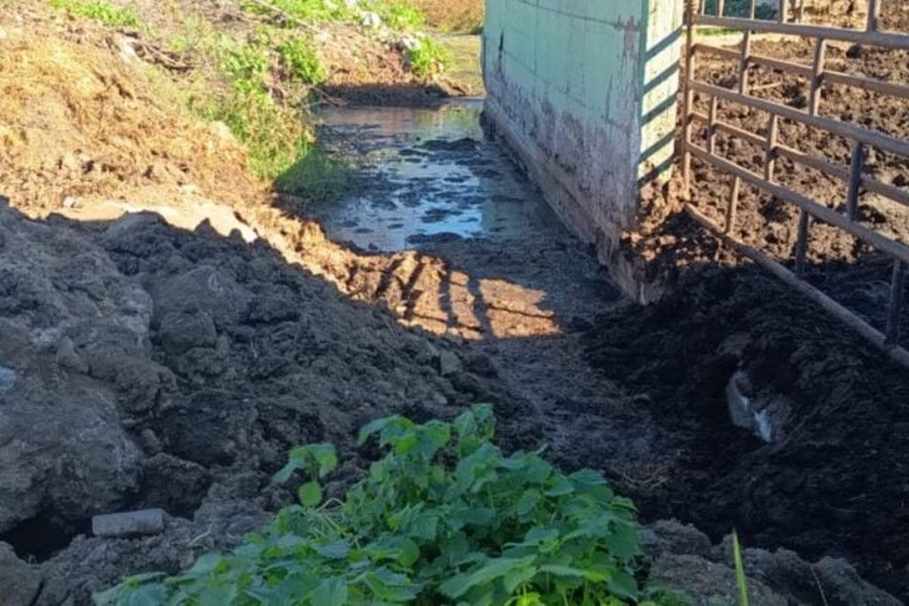 capaccio paestum smaltimento illecito rifiuti speciali denuncia