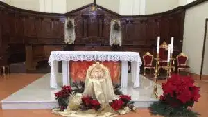 serre festa san martino