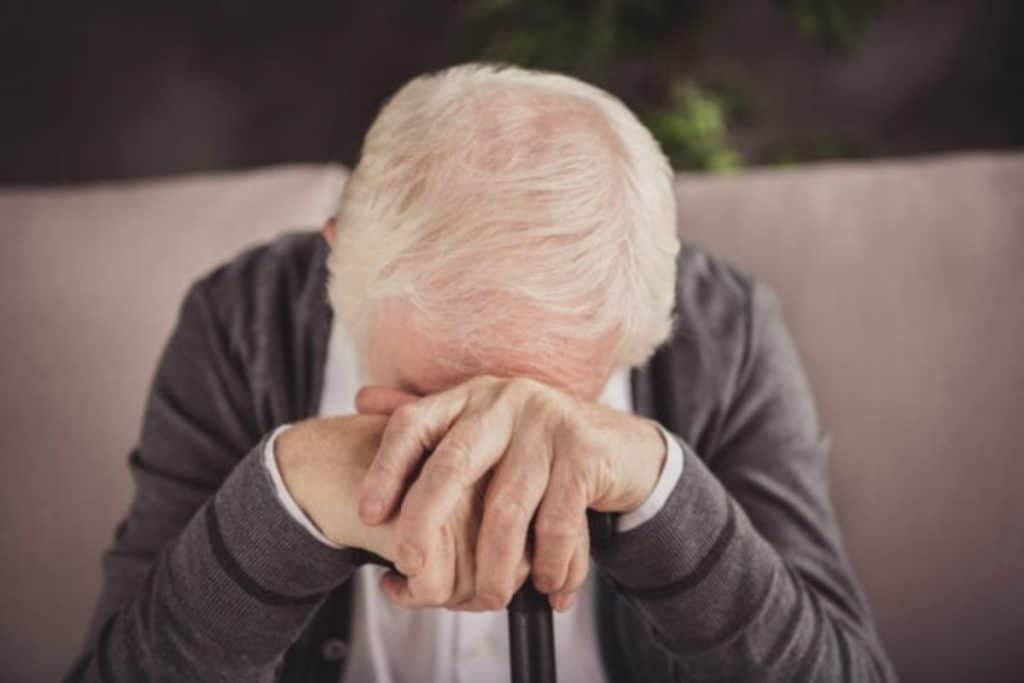 alburni truffe allarme corleto monforte