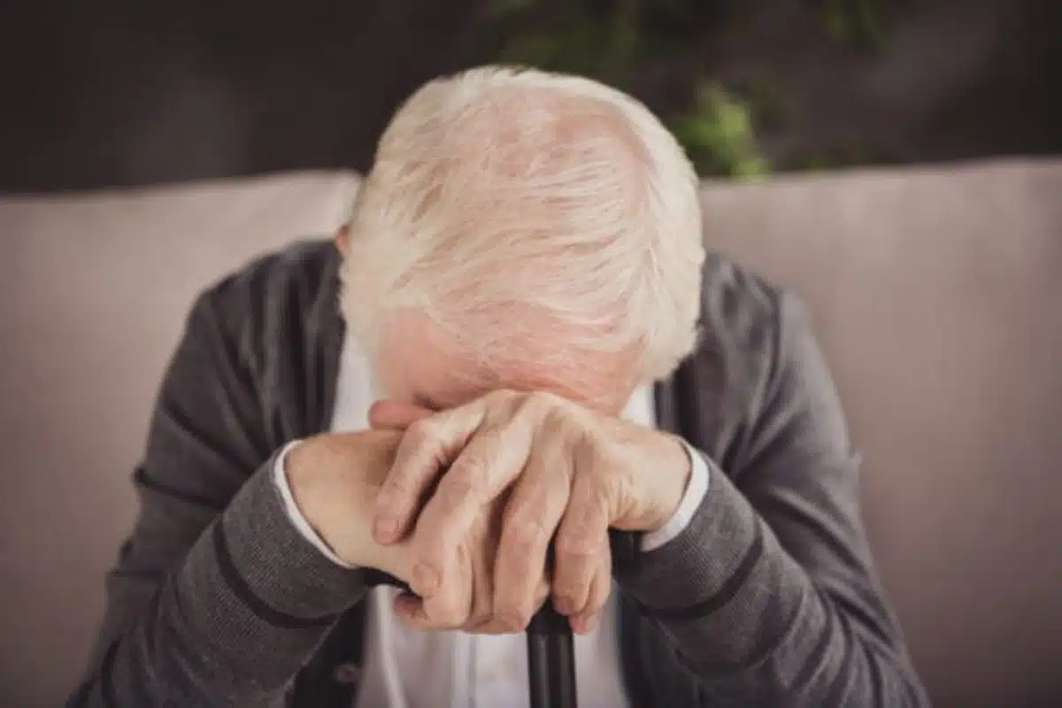 alburni truffe allarme corleto monforte