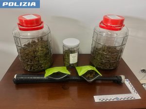 denunciato commerciante battipaglia canapa 11 dicembre