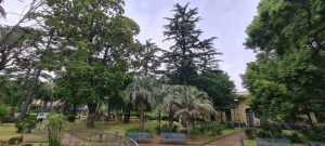 Cava riprogettazione botanica parco