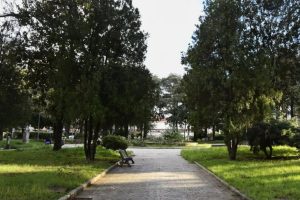 cava de' tirreni villa schwerte chiusa 4-5 dicembre lavori potatura