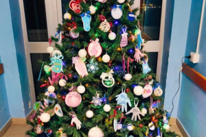 Albero Vita ospedale Immacolata Sapri