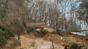 Novi Velia Tar ristorante Montanara