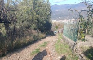 ambulanza bloccata strada dissestata vallo della lucania natale