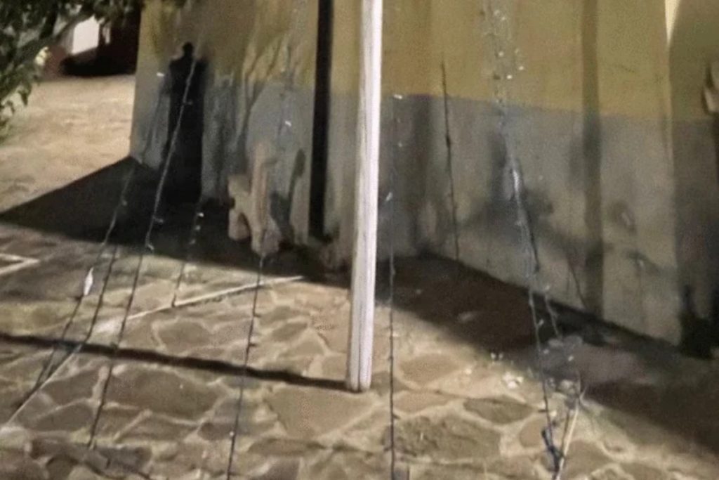 montecorice natale senza luci addobbi polemica