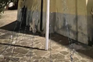 montecorice natale senza luci addobbi polemica