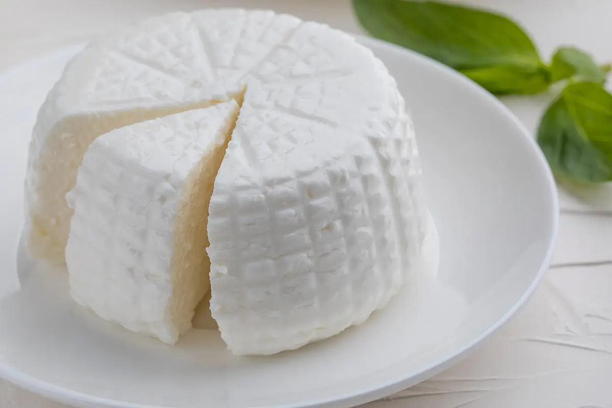Ricotta di bufala campana, crescita record e strategie per l’export: il Consorzio punta al 2026