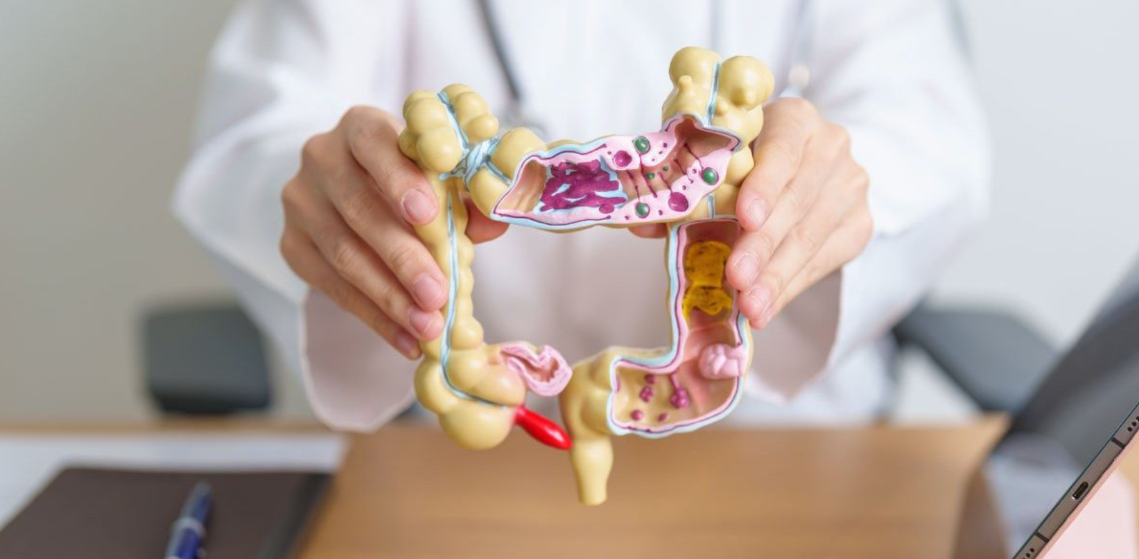 Camerota prevenzione cancro