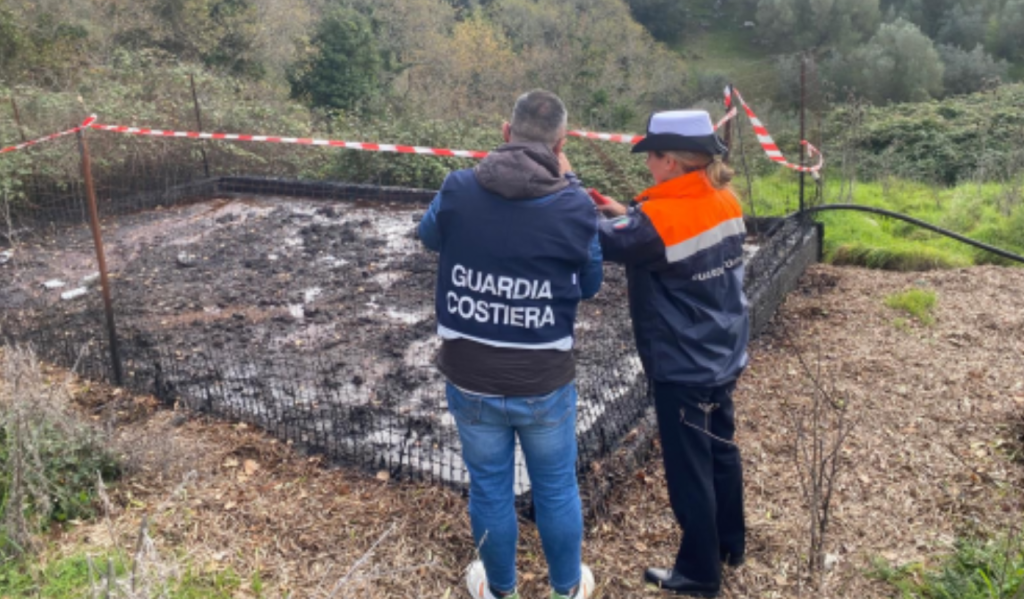 Camerota illeciti frantoio