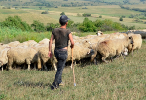 Vallo Cilento Smart Villages
