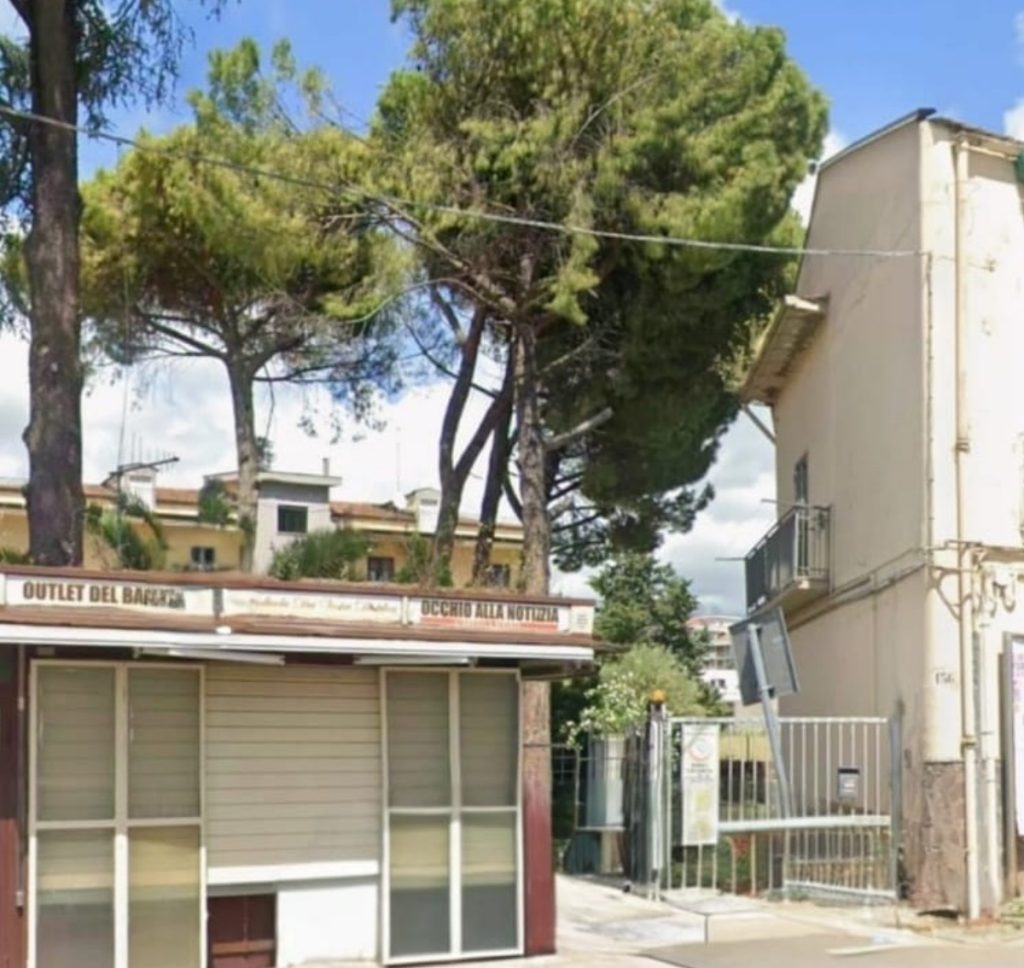 battipaglia pini infettati cocciniglia abbattimento