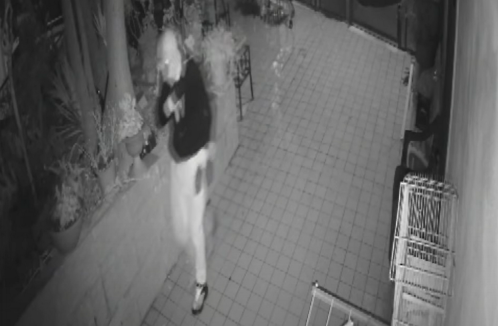 Furti, cresce l’allarme nel Cilento: indagini sulla presunta “banda dell’Audi”, ladri ripresi dalle telecamere