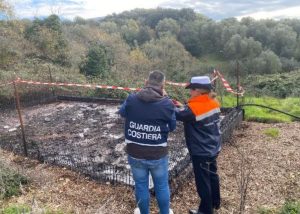 camerota sequestrato frantoio sversamenti illeciti