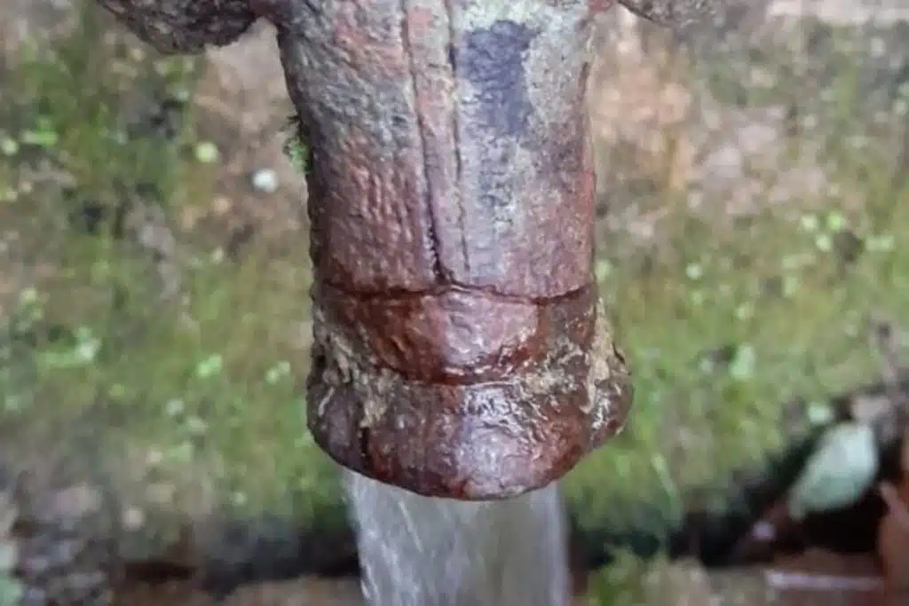 tortorella fontana canala restauro