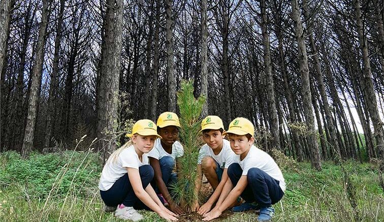 “Rigeneriamo la Pineta”: a Capaccio un incontro per discutere le proposte per il restauro della foresta costiera
